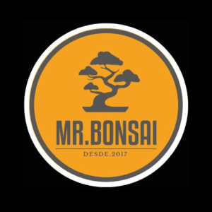 Mr Bonsai