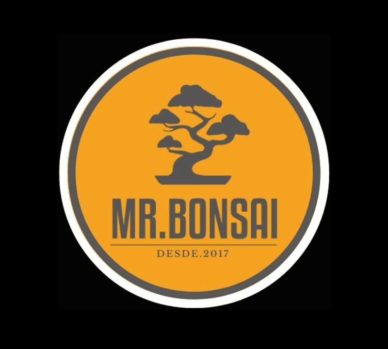 Mr Bonsai